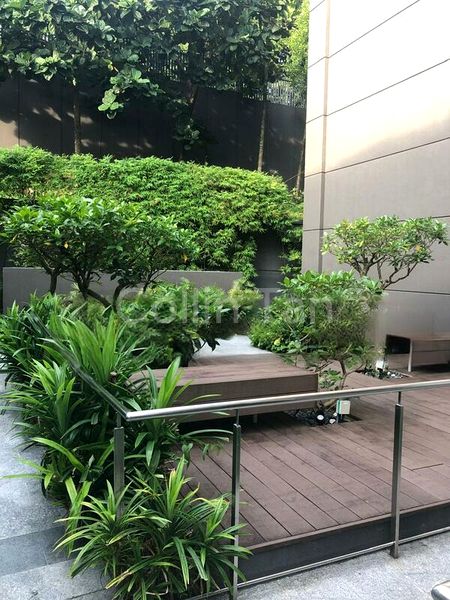 1 Bed Condo for Rent in  The Foresta @ Mount Faber - Image 3